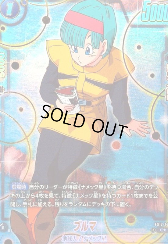 画像1: ブルマ(C★)(FS12-14) (1)