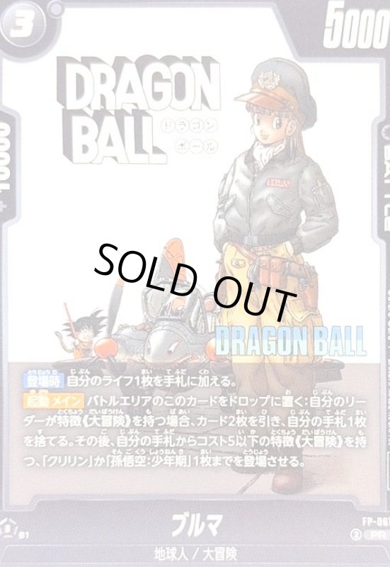 画像1: ブルマ(PR)(FP-061) (1)