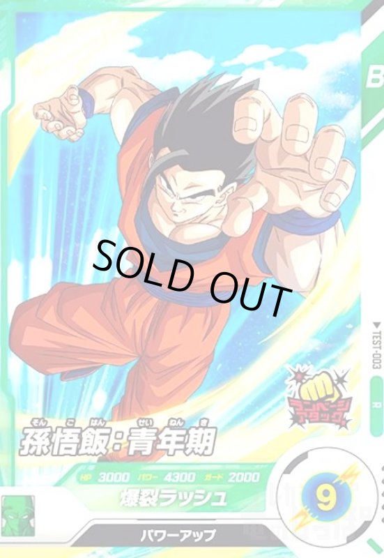 画像1: 孫悟飯:青年期(R)(TEST-003) (1)