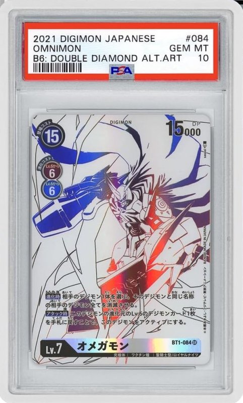 画像1: GradedGuard【White】 (1)