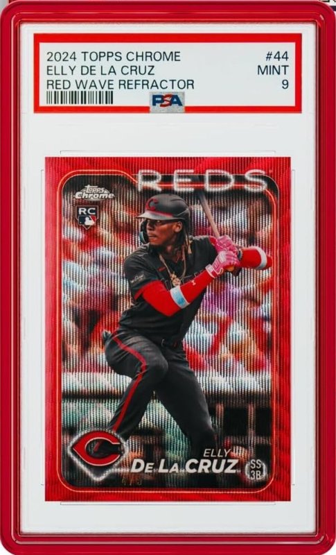 画像1: GradedGuard JuwelCase【Ruby】 (1)