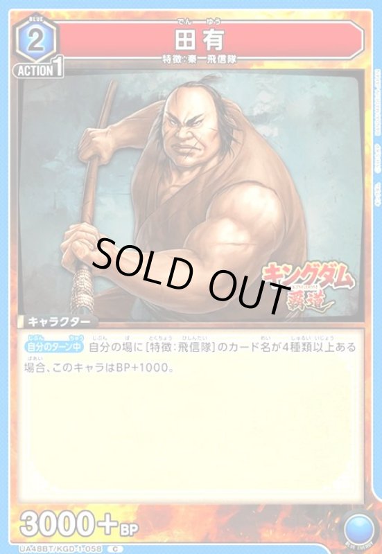 画像1: 田有(C)(UA48BT/KGD-1-058) (1)