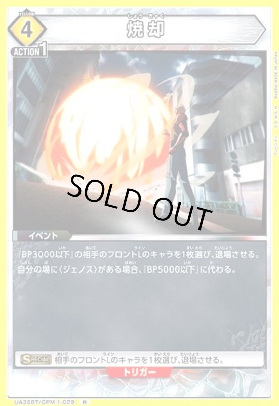 画像1: 焼却(R)(UA35BT/OPM-1-029) (1)