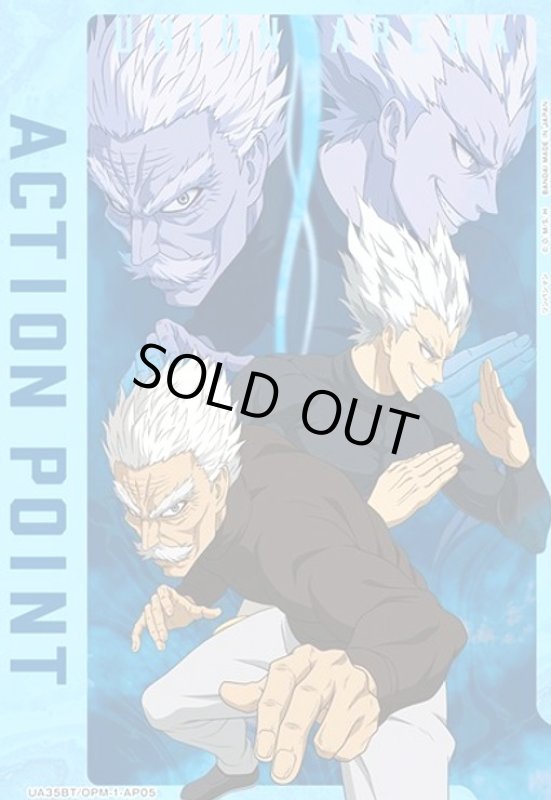 画像1: ACTION POINT(AP)(UA35BT/OPM-1-AP05) (1)