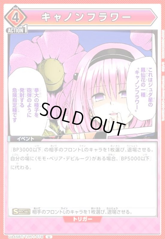 画像1: キャノンフラワー(U)(UA45BT/TLR-1-078) (1)